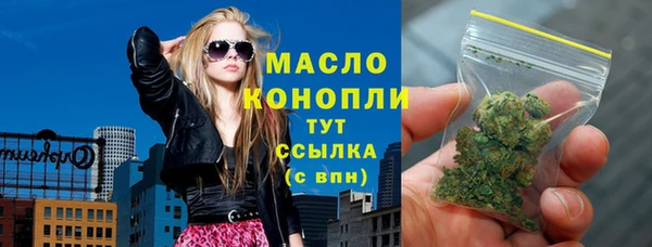 молекула духа Михайлов