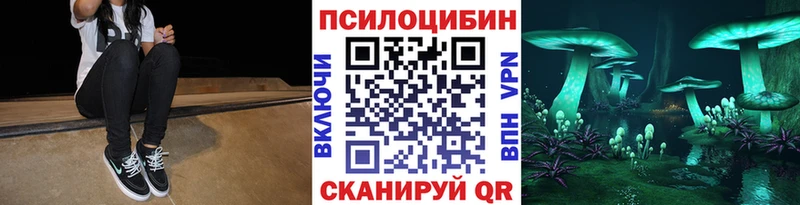 наркота  Советск  Псилоцибиновые грибы ЛСД 